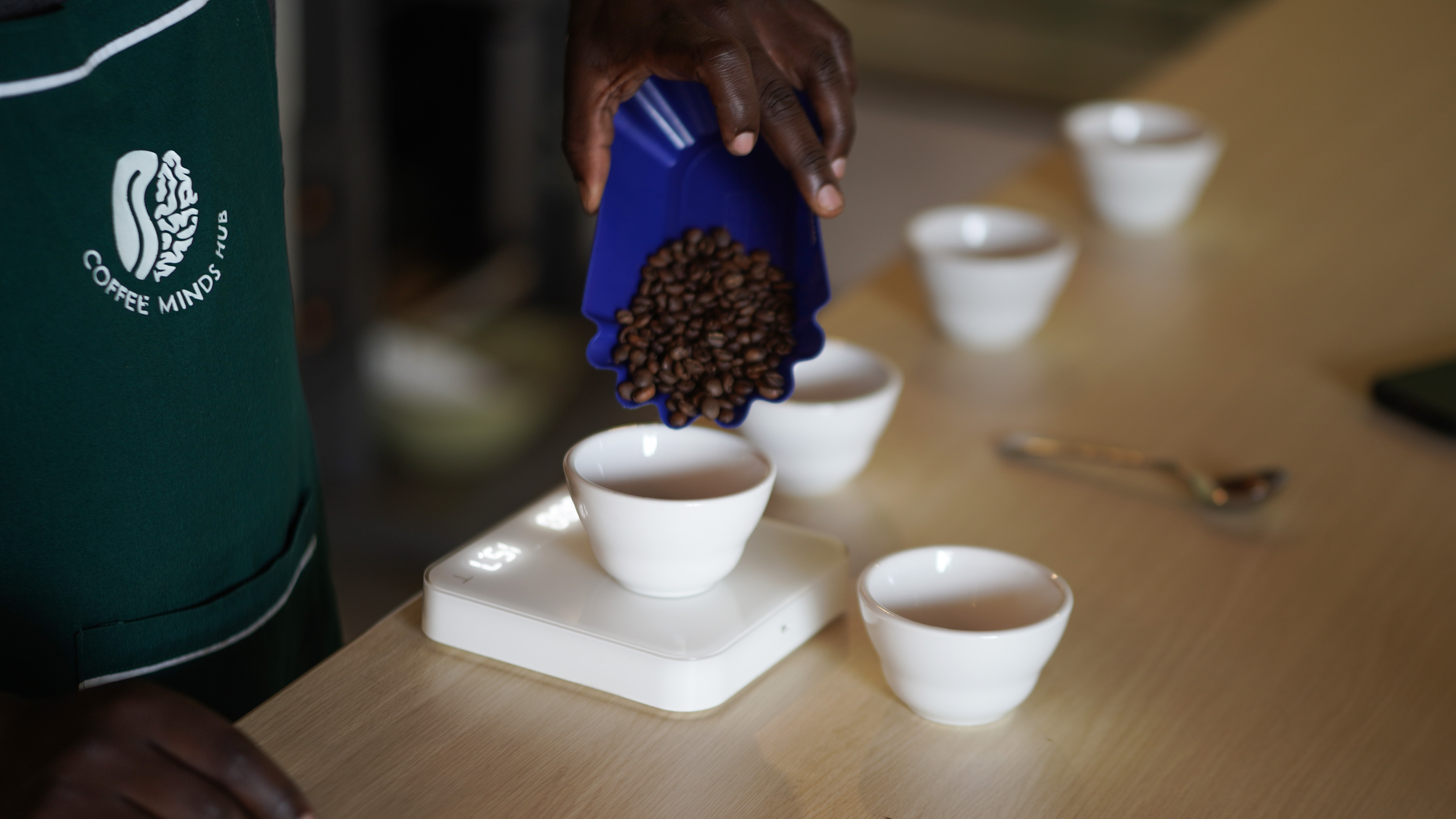 Barista Coaching Session