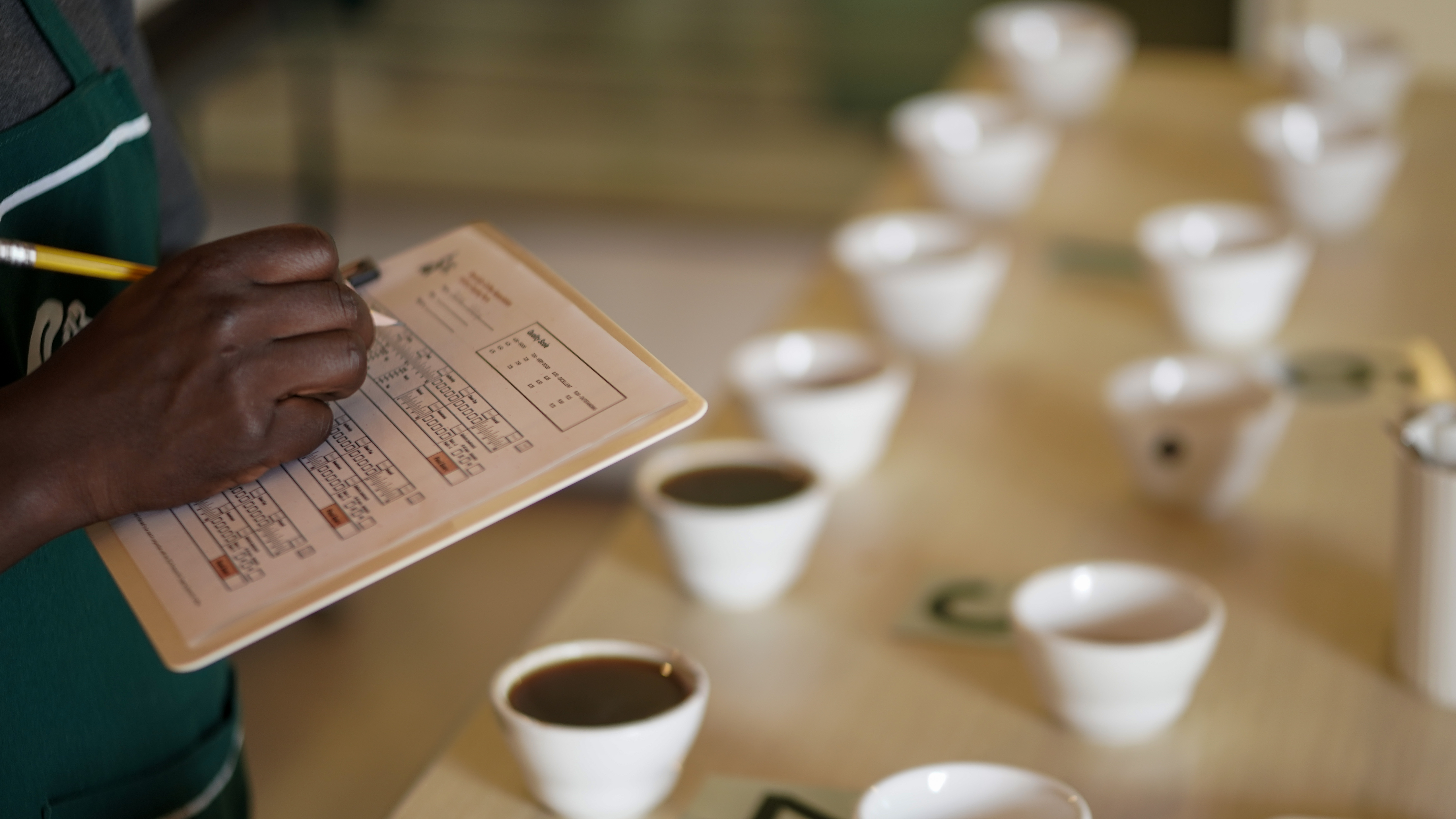 Café Setup Consulting